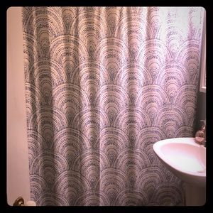 Shower Curtain with hooks